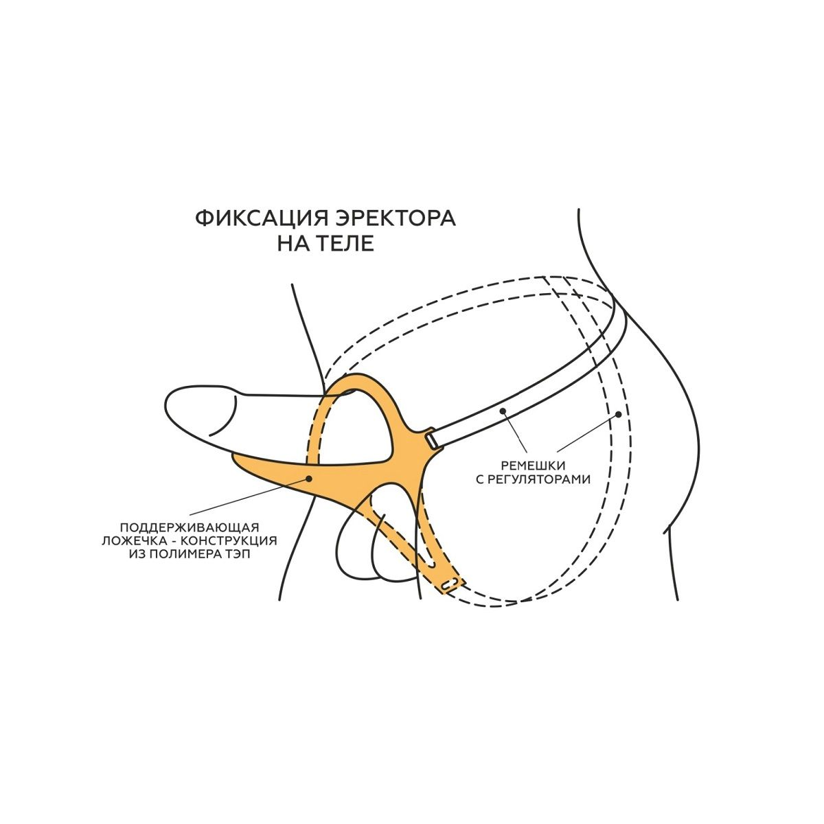 Купить телесный эректор-ложечка с фиксацией на ремешках men style Image