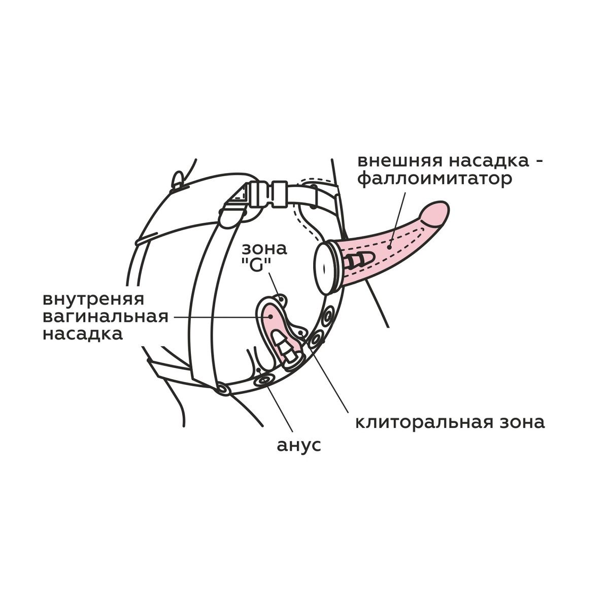 Купить женский пояс-трусики c 2 насадками и вагинальной пробкой Image