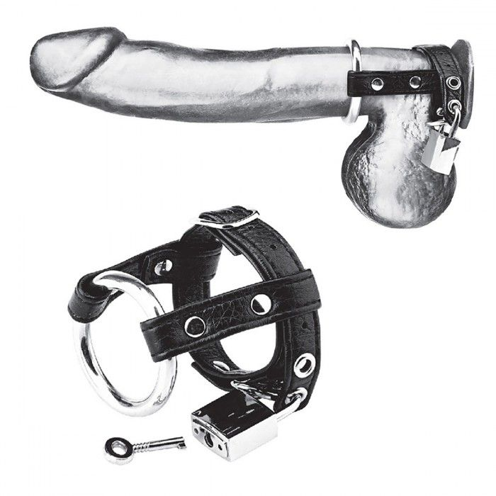 Купить утяжка на пенис на замочке duo cock and ball lock Image